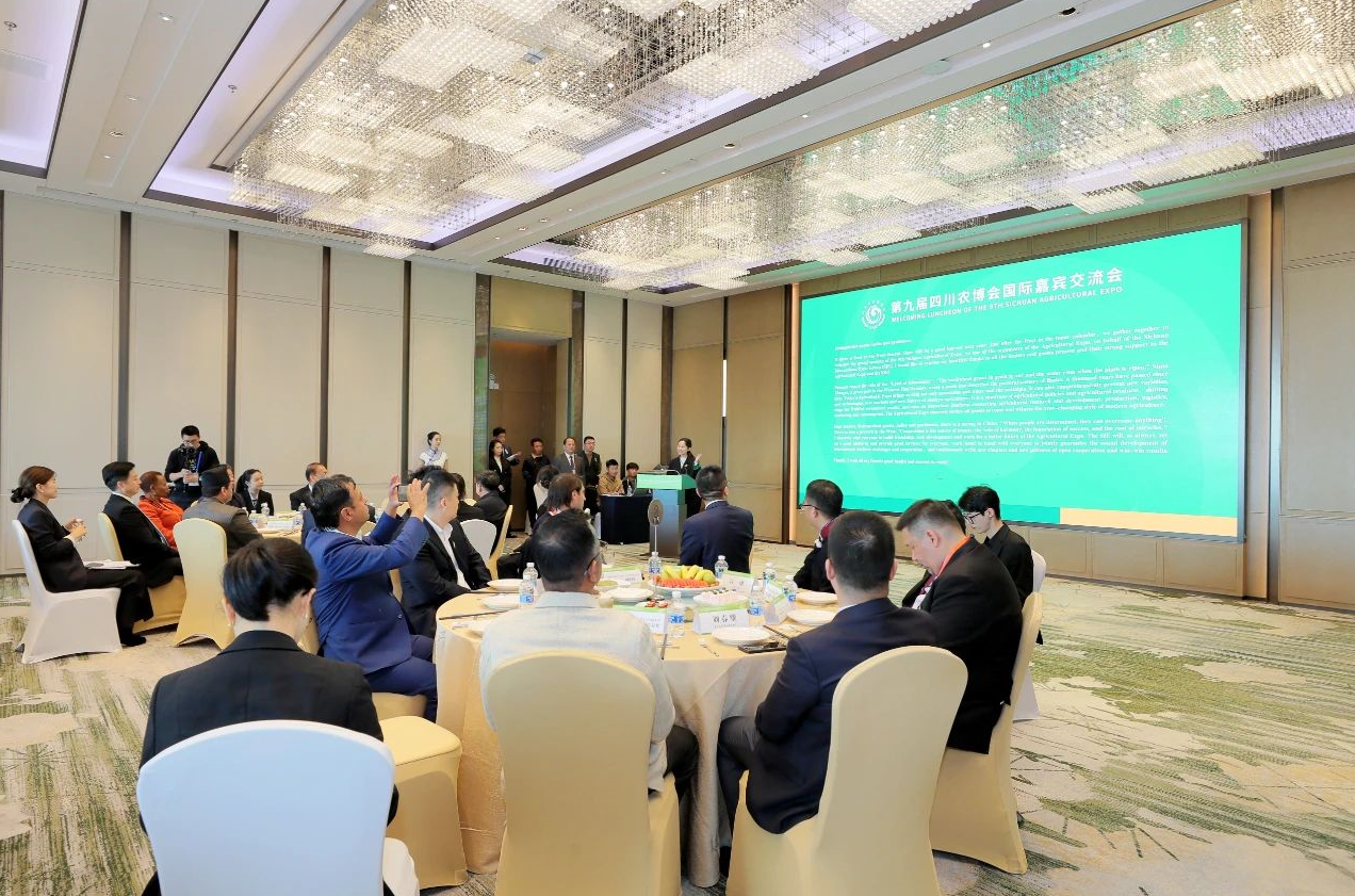 QQ截图20231101110602