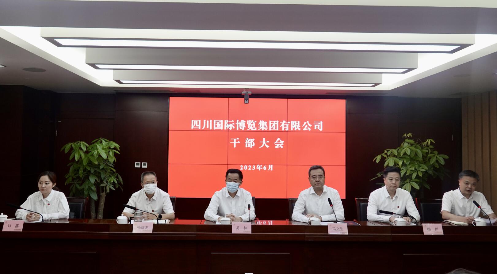 QQ截图20230612104217