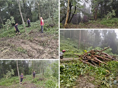 微光成炬 | 在双紫村的田野上书写担当